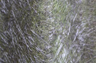 Dinas Mawr fibreglass roof work